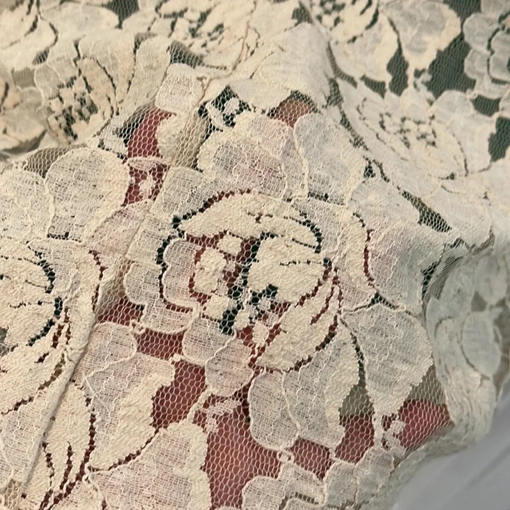 Francesca’s Collection Birdcage Stretch Lace Shift Dress Large Beige Gre… - Picture 7 of 14